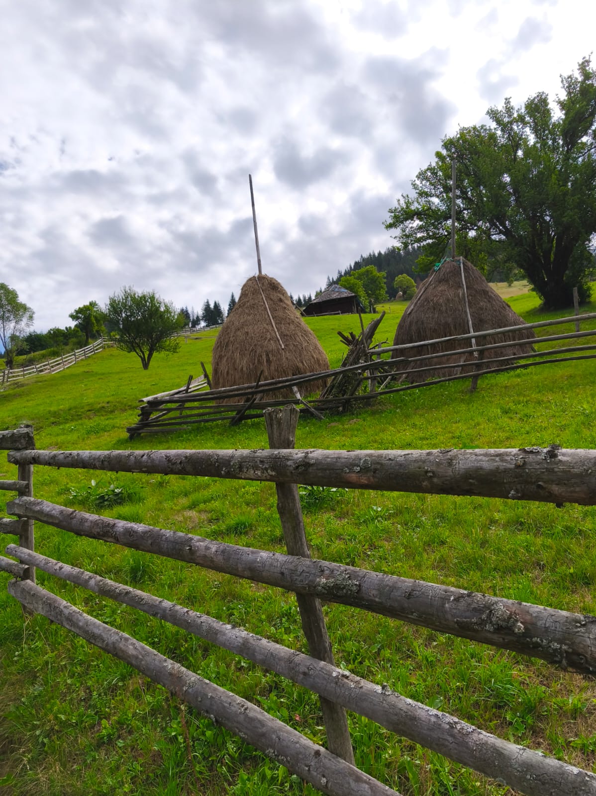 🏔️ Drumeție „Culmea Bisericuței – Panorama Carpaților”