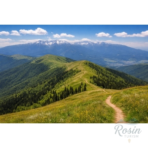 ☘️ Drumeție de o zi în Munții Baiului