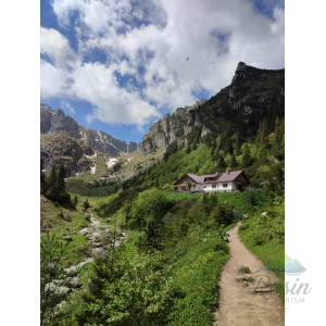 Zi de 1 Mai la Cabana Mălăiești: Munți și Brândușe