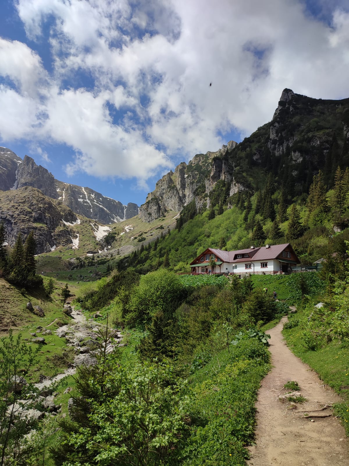 Zi de 1 Mai la Cabana Mălăiești: Munți și Brândușe