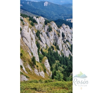 Bujor în Ciucaș – Culmea Bratocea și Vârful Ciucaș