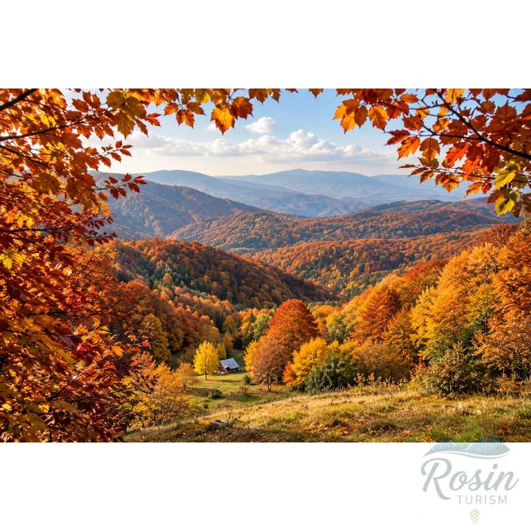 🍂 Buila-Vânturarița – toamna în inima pădurii, printre poteci și peisaje spectaculoase