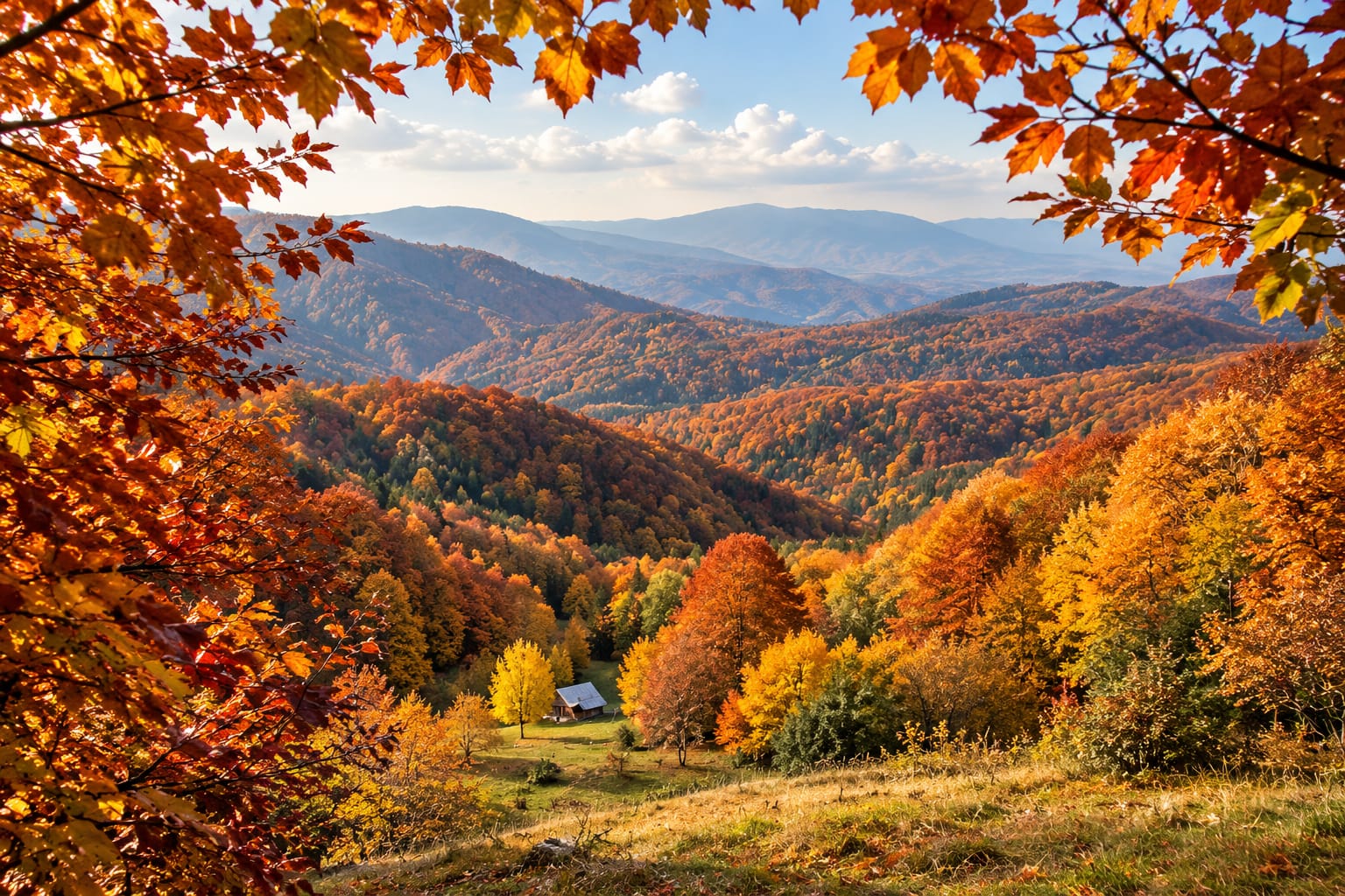 🍂 Buila-Vânturarița – toamna în inima pădurii, printre poteci și peisaje spectaculoase